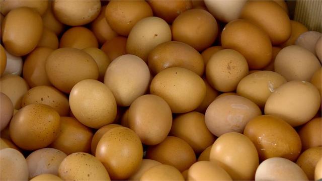 (Taiwan Hari Ini, 12/4) - Krisis Telur Ayam akan Berlangsung Hingga Tahun Mendatang?