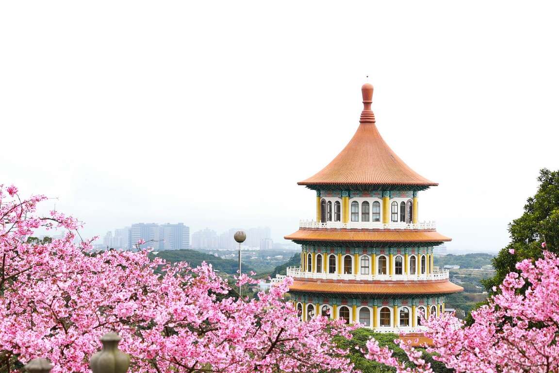 Jalan-jalan 11022025 - Wisata Sakura dan Bergaya Jepang di Tamsui