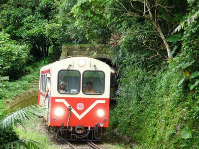 Tiket Cruise Kereta Alishan Fun Mulai 3 Juni