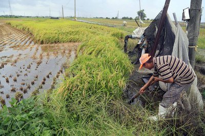26 Lokasi Di Taiwan Telah Terkendali Terhindari Bahaya Banjir