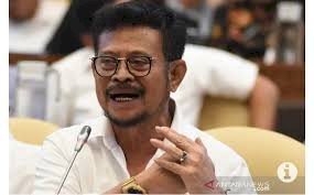Anggaran Kementan dipangkas Rp3,6 triliun untuk tangani Corona
