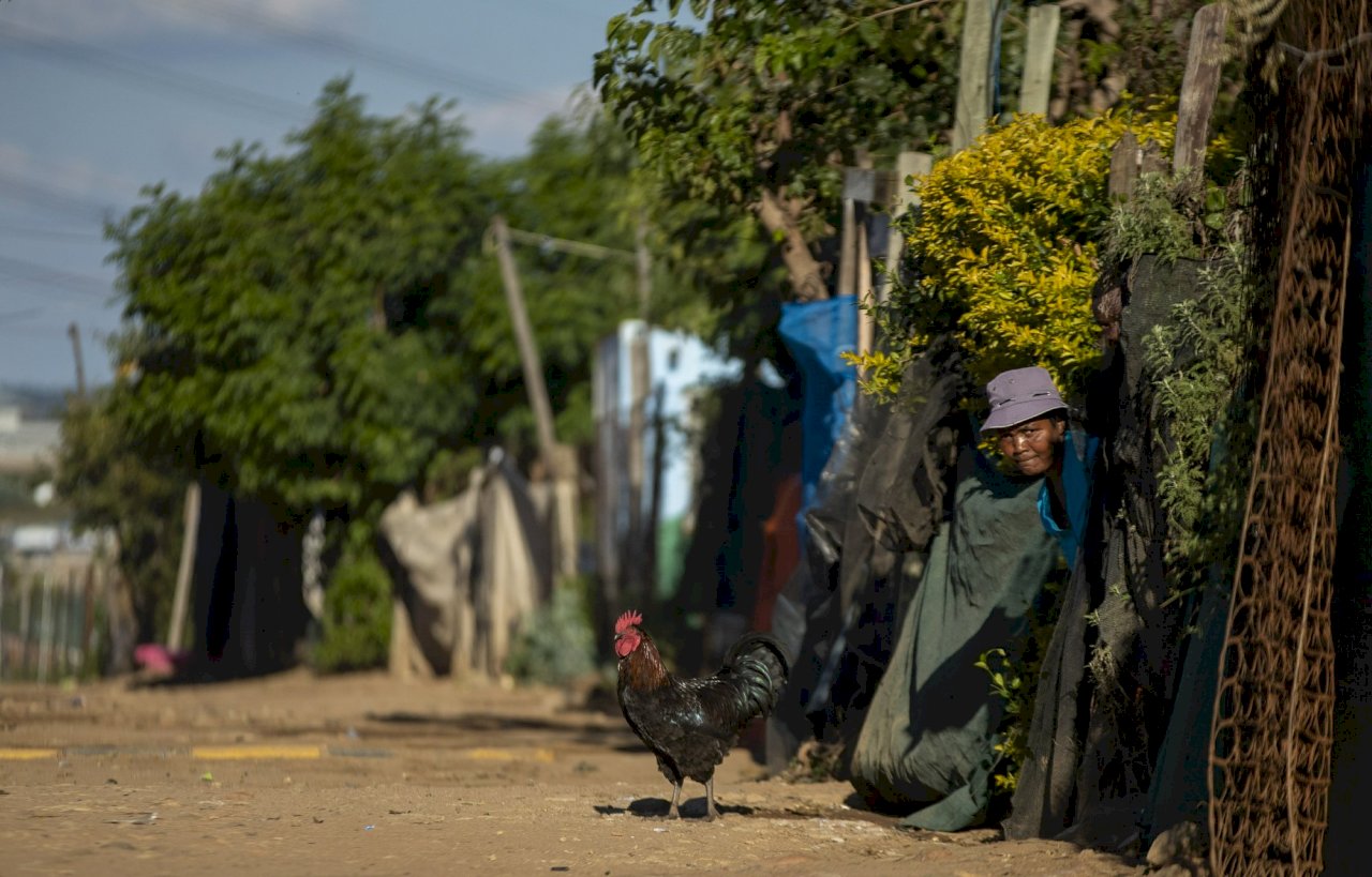 Laporan PBB: COVID-19 Akan Mampu Menewaskan 300.000 Hingga 3,3 Juta Korban Manusia di Afrika