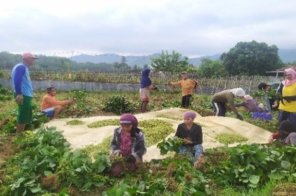Proyek Percontohan Kawasan Pertanian Terintegrasi Wilayah Karawang