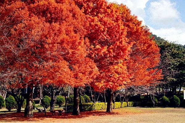 Wisata di Bulan Desember