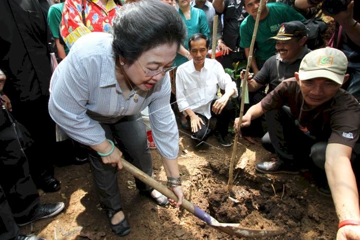PDIP Rayakan HUT Partai dan Megawati dengan Tanam Pohon di Pantai Bali