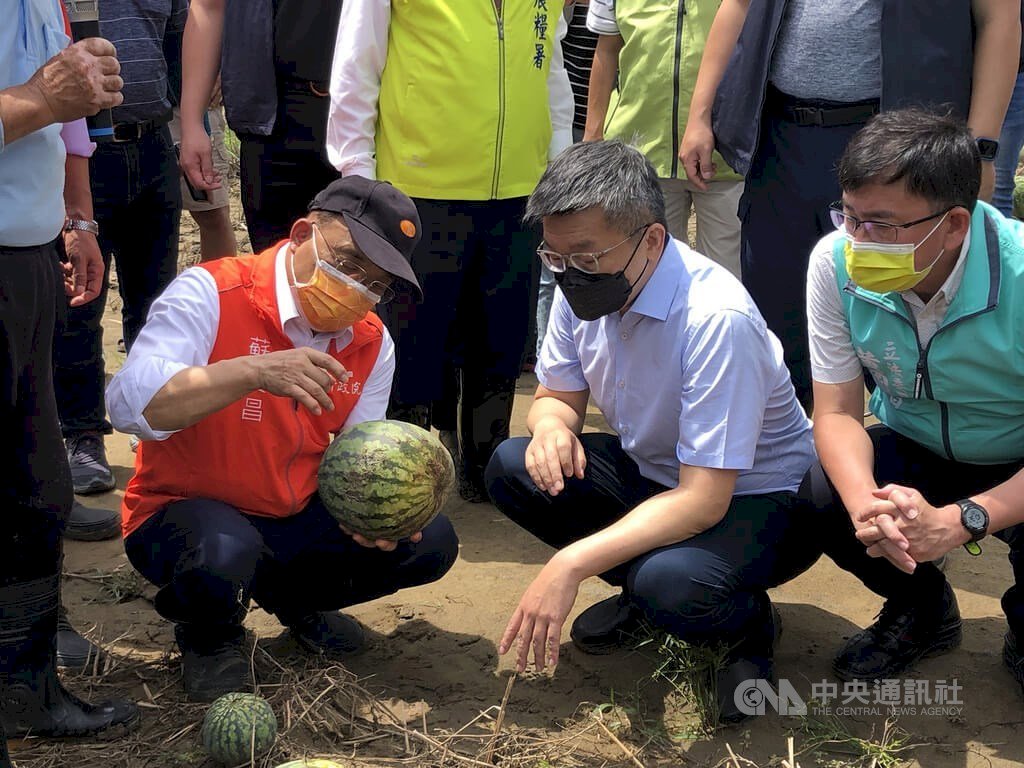 Kerusakan Hasil Tani Akibat Hujan Plum Diperkirakan NT$15 juta