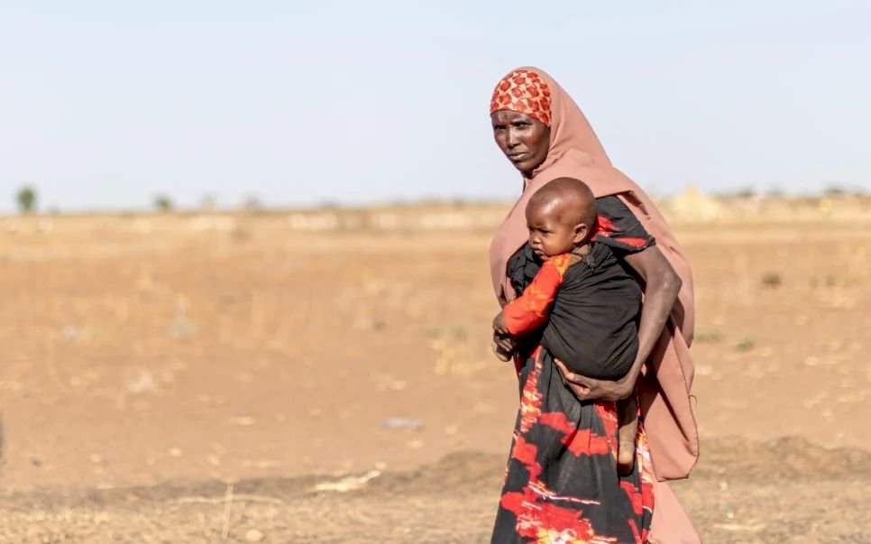 UNHCR Memperingatkan Krisis Gandum Memperburuk Pengungsi Global