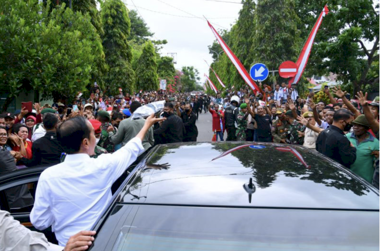 Presiden Jokowi Akan Beri Bansos dan Temui Peternak Kerbau di Maluku
