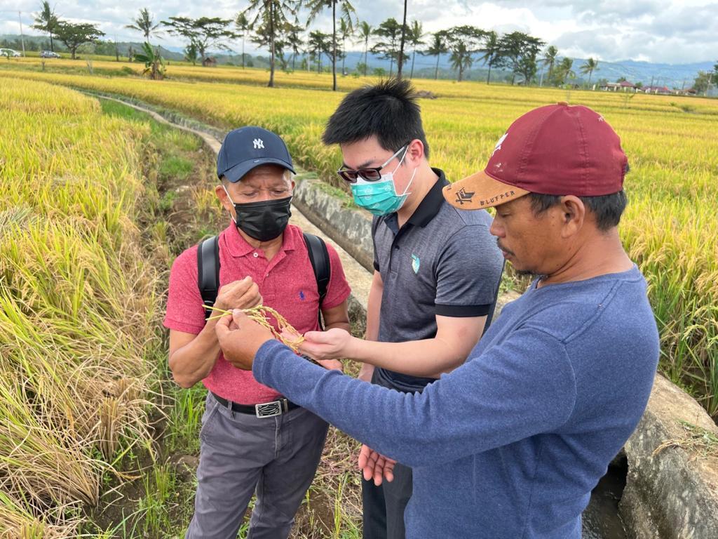 Proyek Pertanian Taiwan Menghasilkan Pencapaian yang Luar Biasa