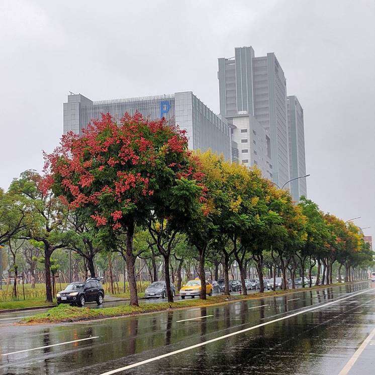 Suhu Sejuk Berkisar 18,8C Tercatat Pada Senin Pagi di Kawasan Shoufeng, Kabupaten Hualien