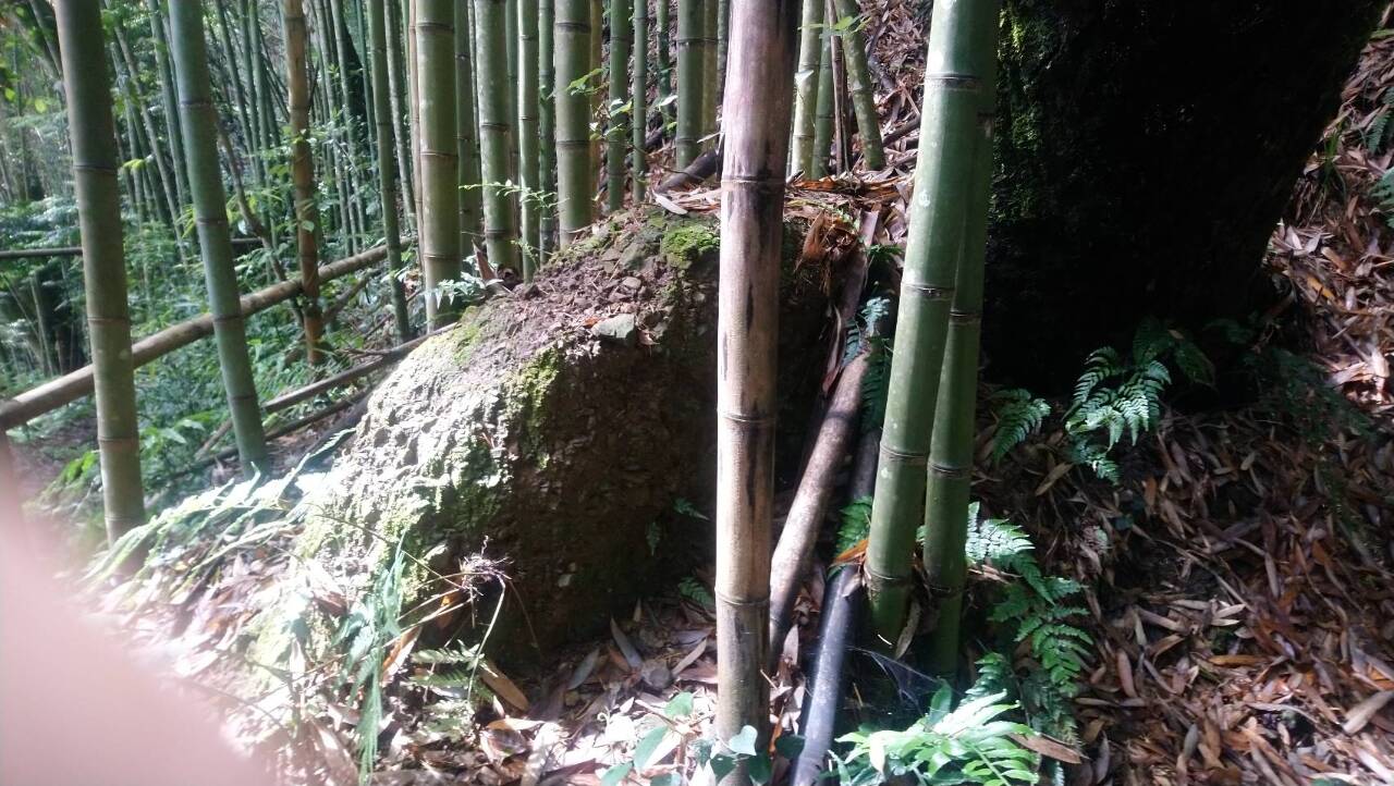 Jurnal Maria 週記BacaBuku 讀書會 cerita jalan tuaSyakaro Historic Trail 4台灣古道4霞喀羅古道 Jurnal Maria 週記BacaBuku 讀書會 cerita jalan tuaSyakaro Historic Trail 4台灣古道4霞喀羅古道