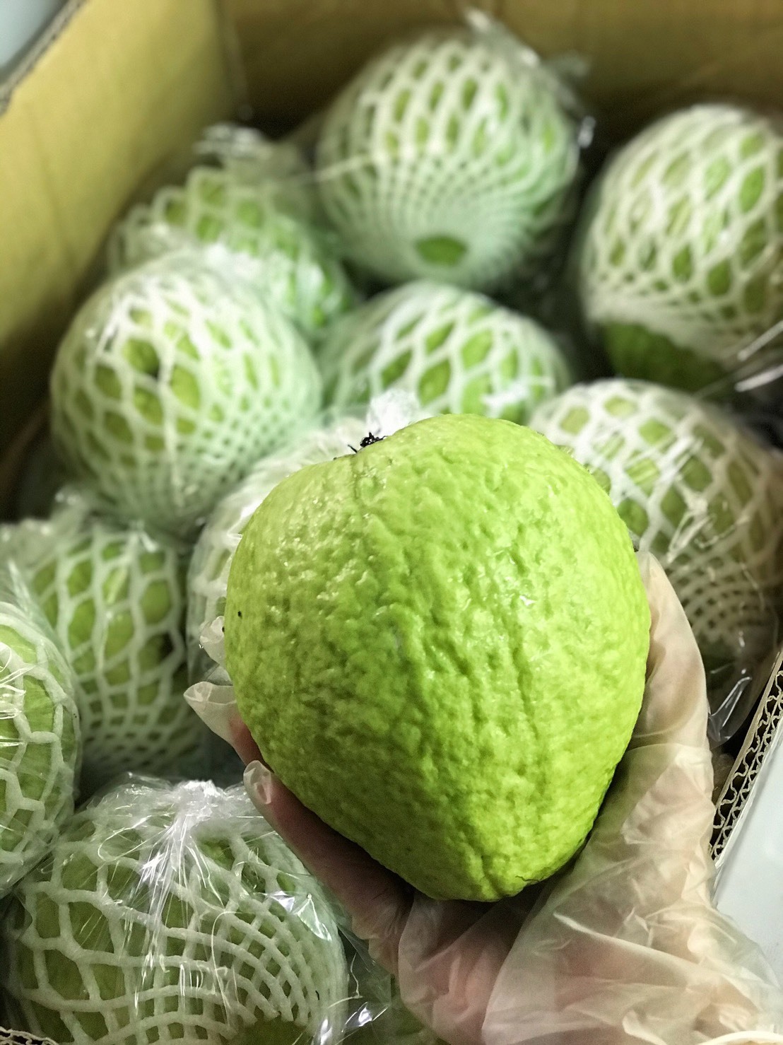 Harga Buah Kesukaan Warga Taiwan Ini Kian Mahal, Harga Tertinggi Dalam 20 Tahun Terakhir
