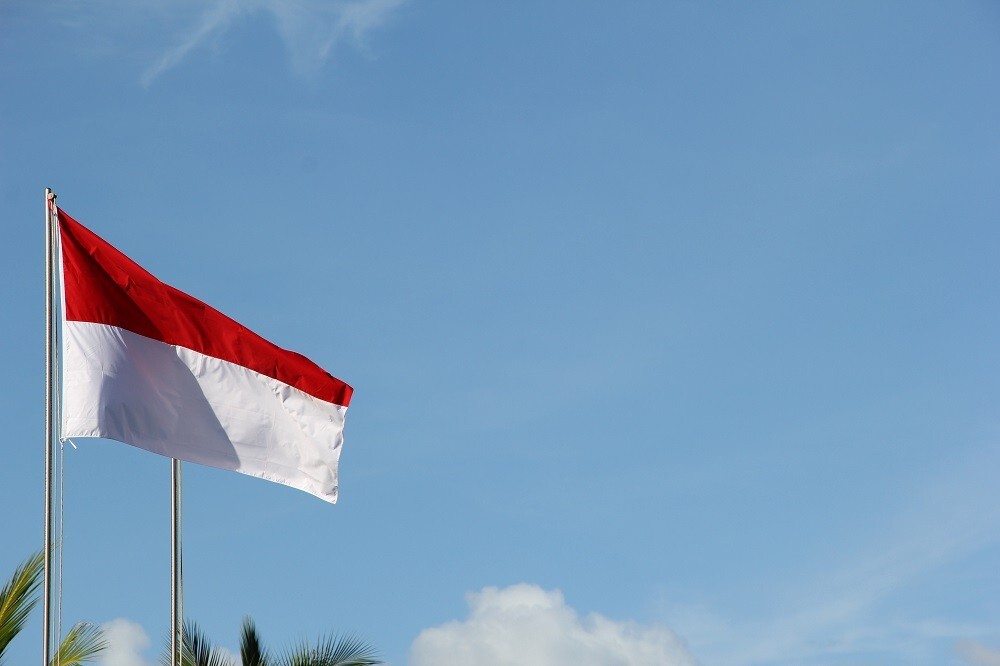 Indonesia Berencana Menambah 20 Negara Bebas Visa, Taiwan Termasuk