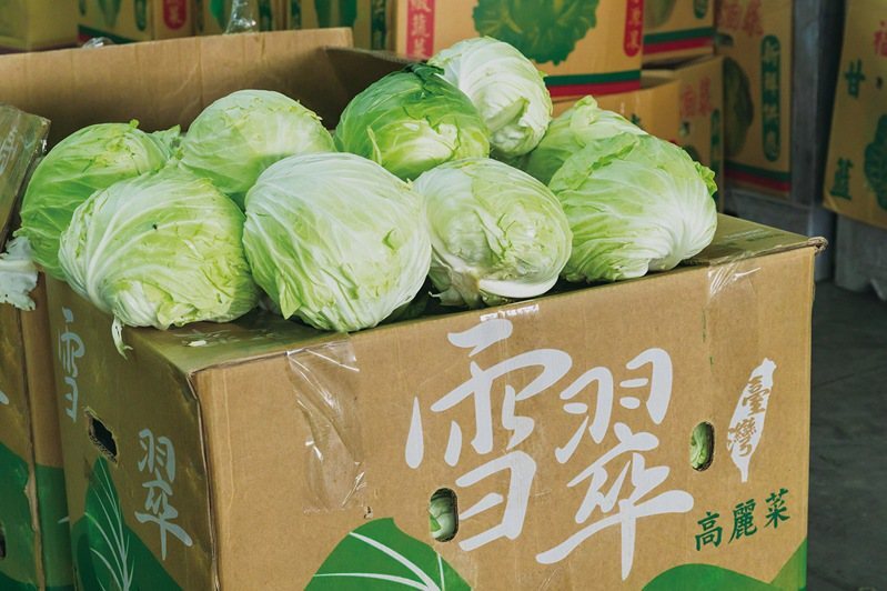 Dulu Sempat Dijual NT$300/Buah, Kini Harga Grosir Sayur Ini Anjlok Drastis, Penjual: Jual Rugi!