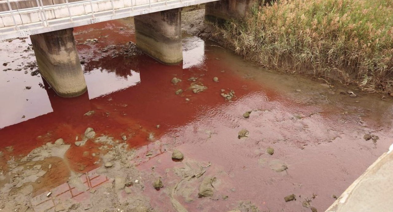 Pembuangan Cat Sebabkan Sungai Qingshui Kota Taichung Berwarna Merah