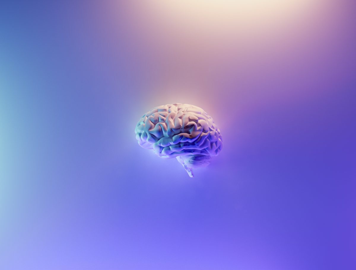 Tidur Nyenyak Penting untuk Kesehatan Otak: Bukti Baru dari Jurnal Nature Bisa Membersihkan Sampah Protein