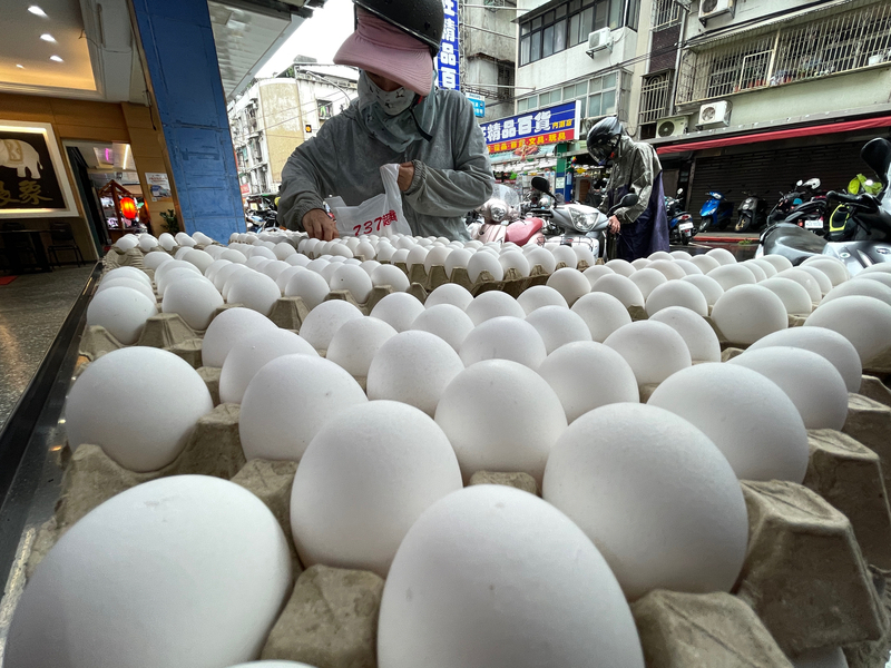Tekanan Penjualan Telur Terus Berlanjut, MOA: 3,6 Juta Ayam Petelur Tua akan Dimusnahkan