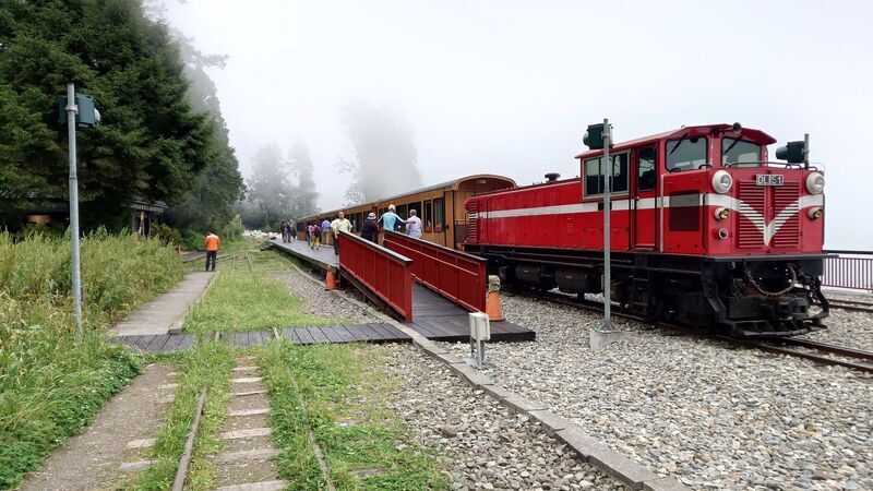 Alishan Muncul Dalam 52 Destinasi Wisata Global Direkomendasikan New York Times 2025