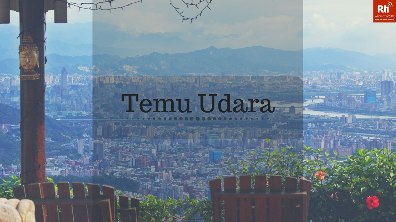 Temu Udara