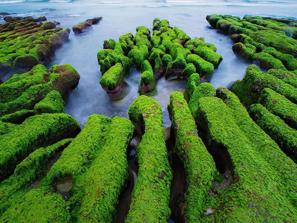 Jalan-jalan 15042025 - Laomei Green Reef