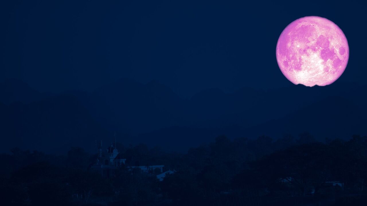 Jika Kelewatan, Maka Harus Tunggu 18 Tahun Lagi, Bulan Stroberi (Strawberry Moon) Akan Menghiasi Langit Malam! Perhatikan Waktu di Bawah Ini